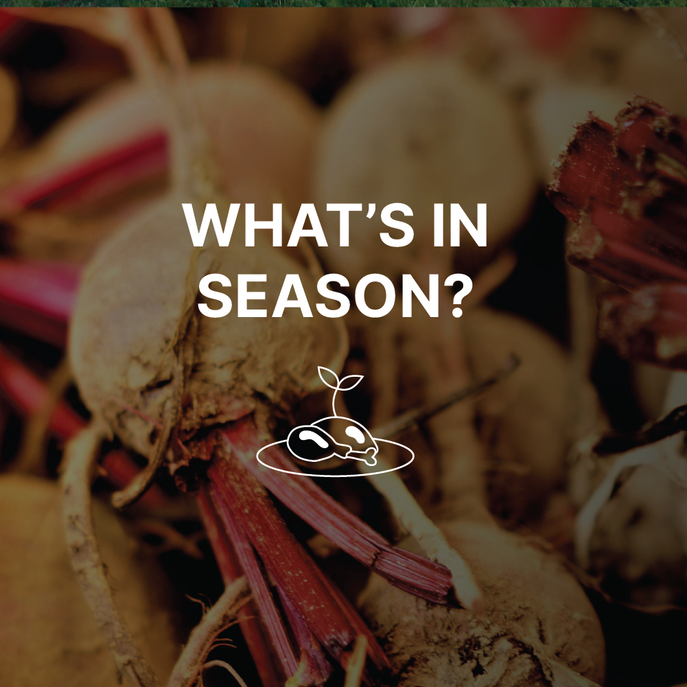 What's in season, overlay over seasonal produce.