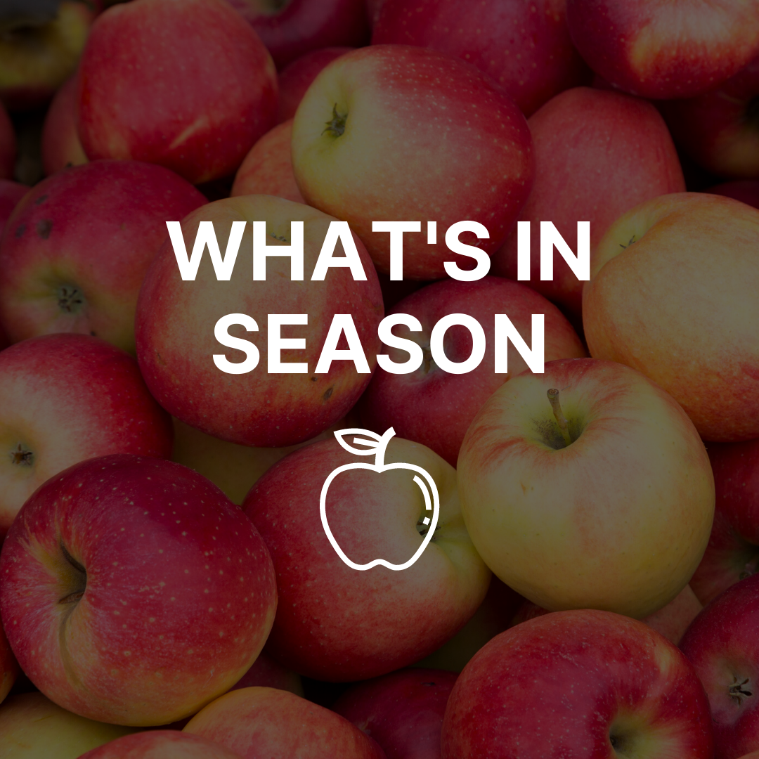Seasonal apples with text that reads 'What's in Season'