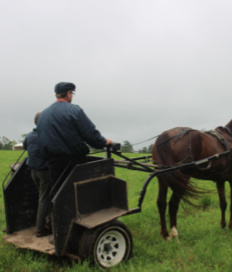 A farmer with his back to the camera, using a horse and buggy to conduct his farming.