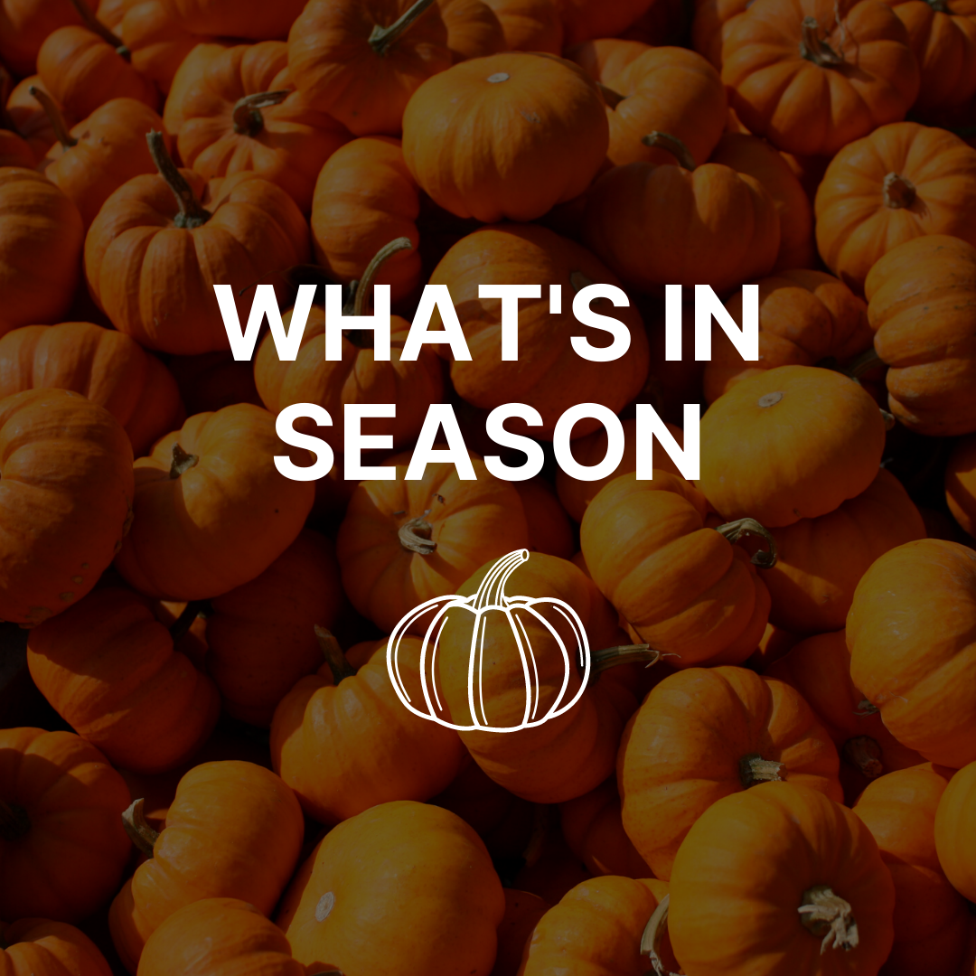 A group of small pumpkins with the words "What's in Season" over top.