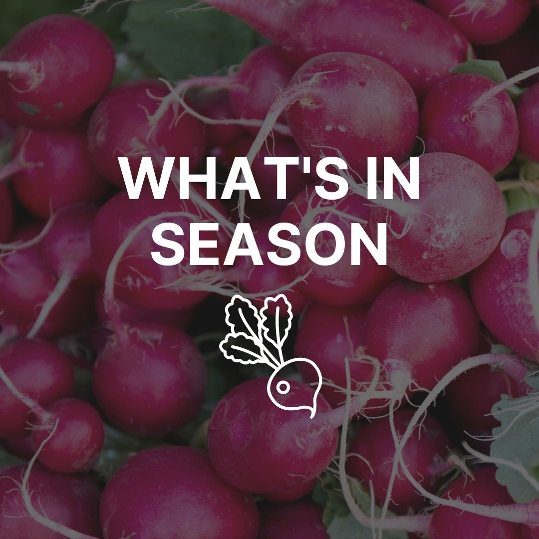 A pile of pink radishes, the words "What's in Season" written over top.