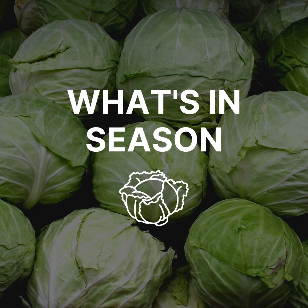 An image of various cabbages with the words "What's in Season" on top.