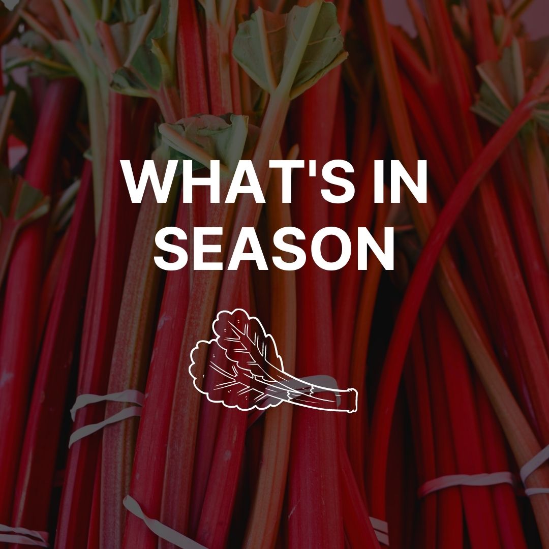 An image of red and green rhubarb with "What's in Season" written on top.