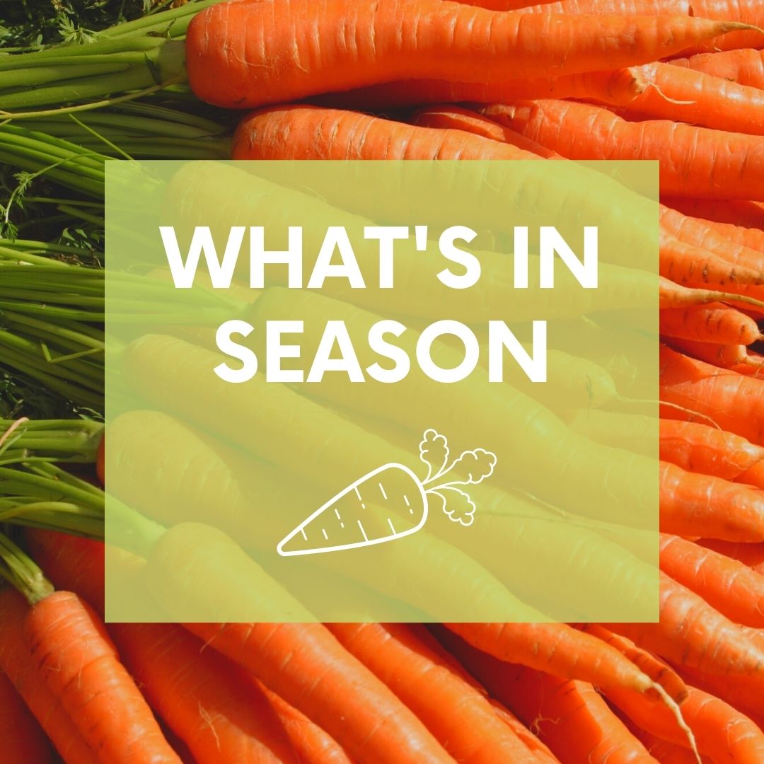 A stack of carrots with 'What's in Season' written on a green overlay.